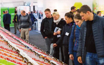 Organic apple is nation’s tastiest